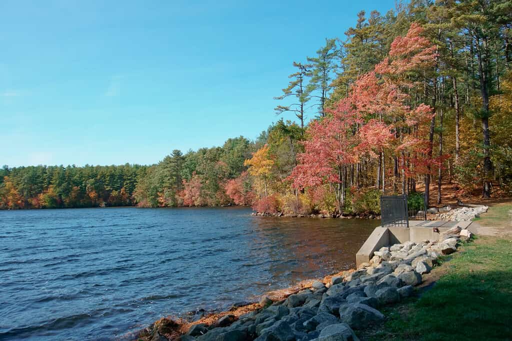 Beautiful autumn color in Whitehall state park at reservoir dam hopkinton MA USA