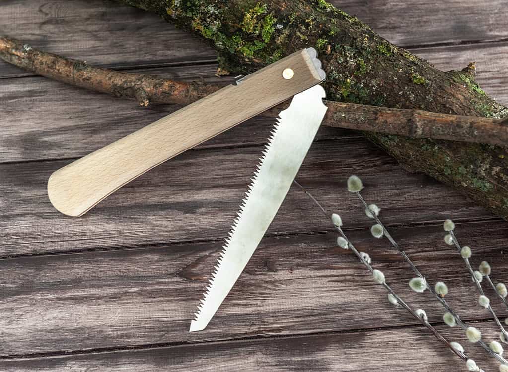 Folding saw on wooden background