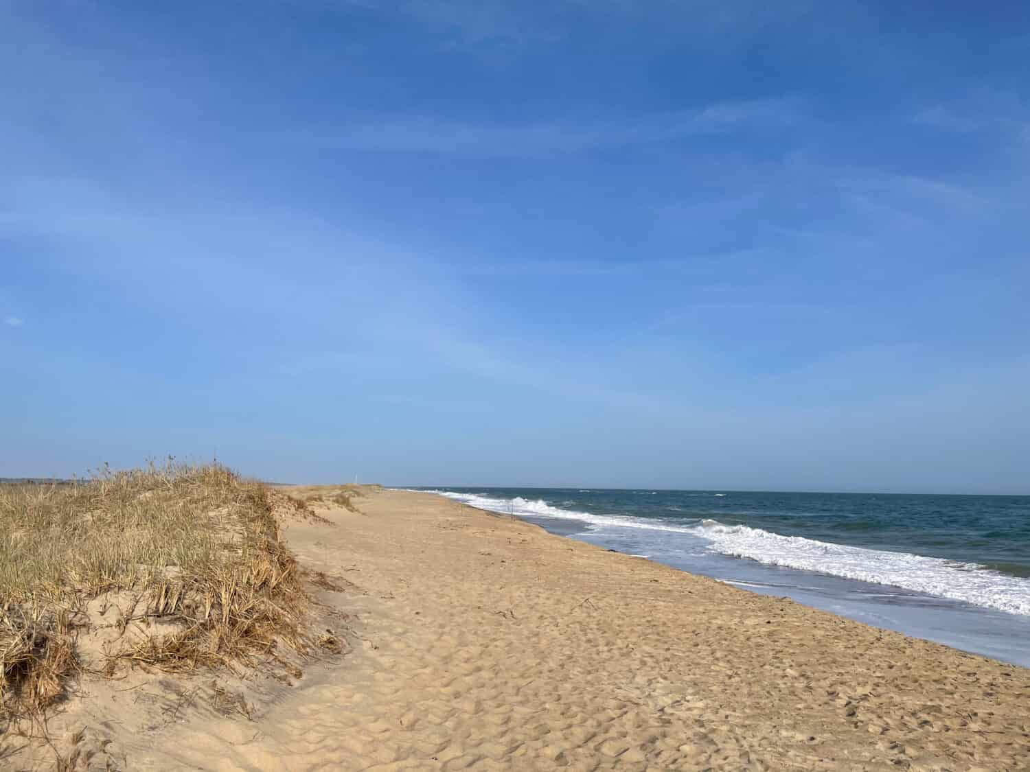 Wind swept beach on Martha’s Vineyard