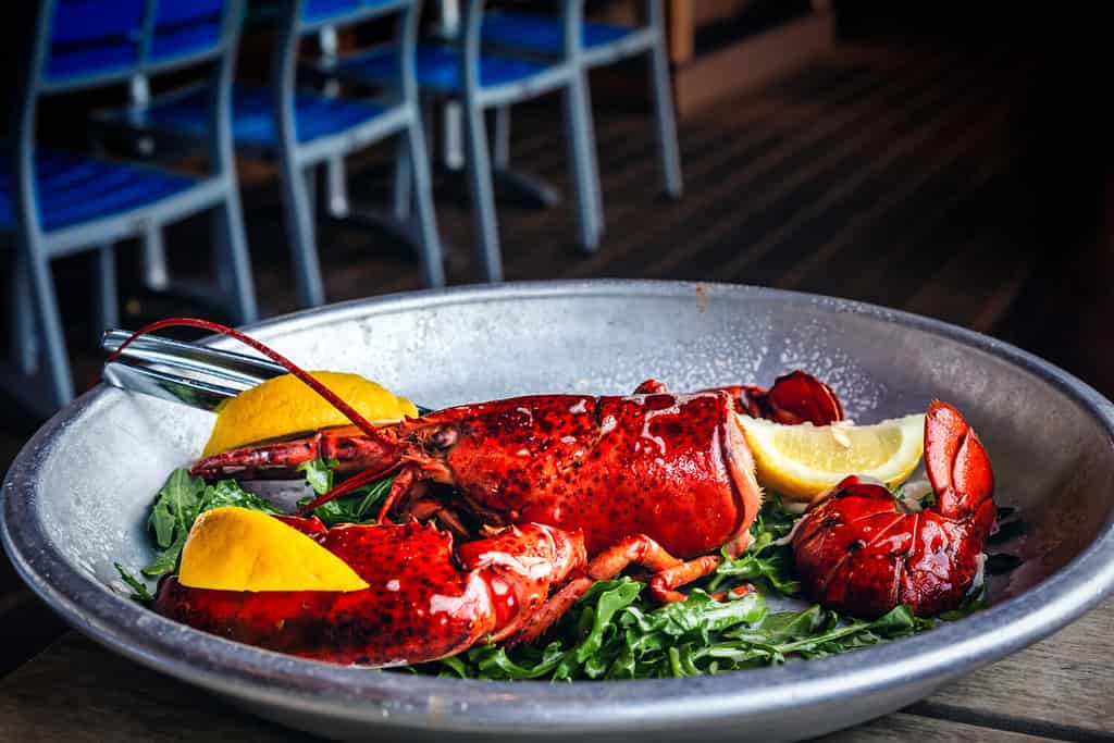 Whole Maine Lobster Dinner at the Myrtle Beach South Carolina USA restaurant. Steamed seafood dinner