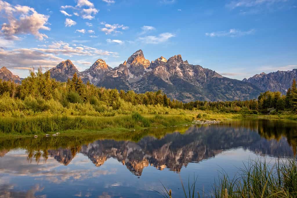 Schwabacher's Landing, Jackson Hole, Wyoming. The Grand Teton mountains are seen at dawn reflected in the still water of the Snake River.