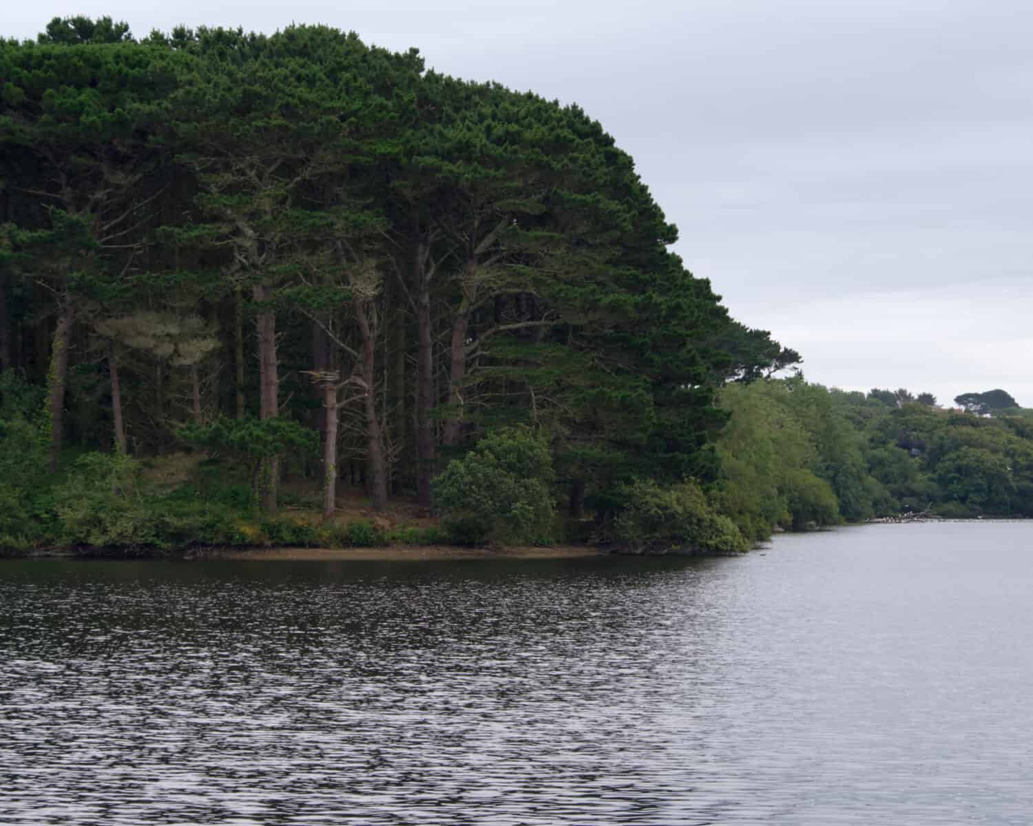 Tree line around Guernsey Reservoir