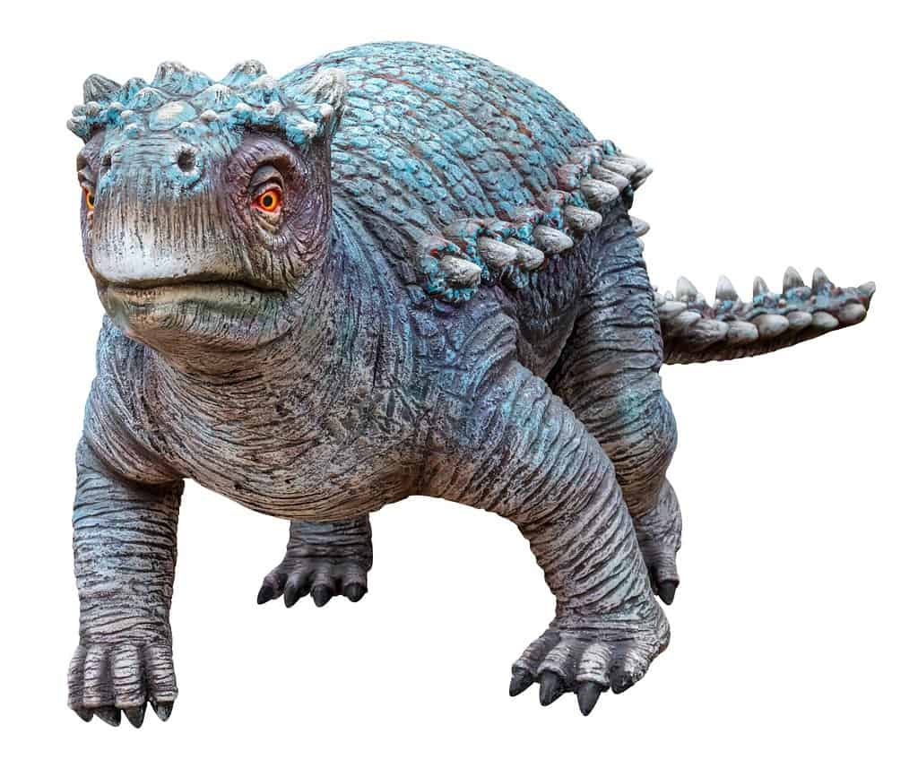 Minmi is a genus of small herbivorous ankylosaurian dinosaurs that lived during the Early Cretaceous Period