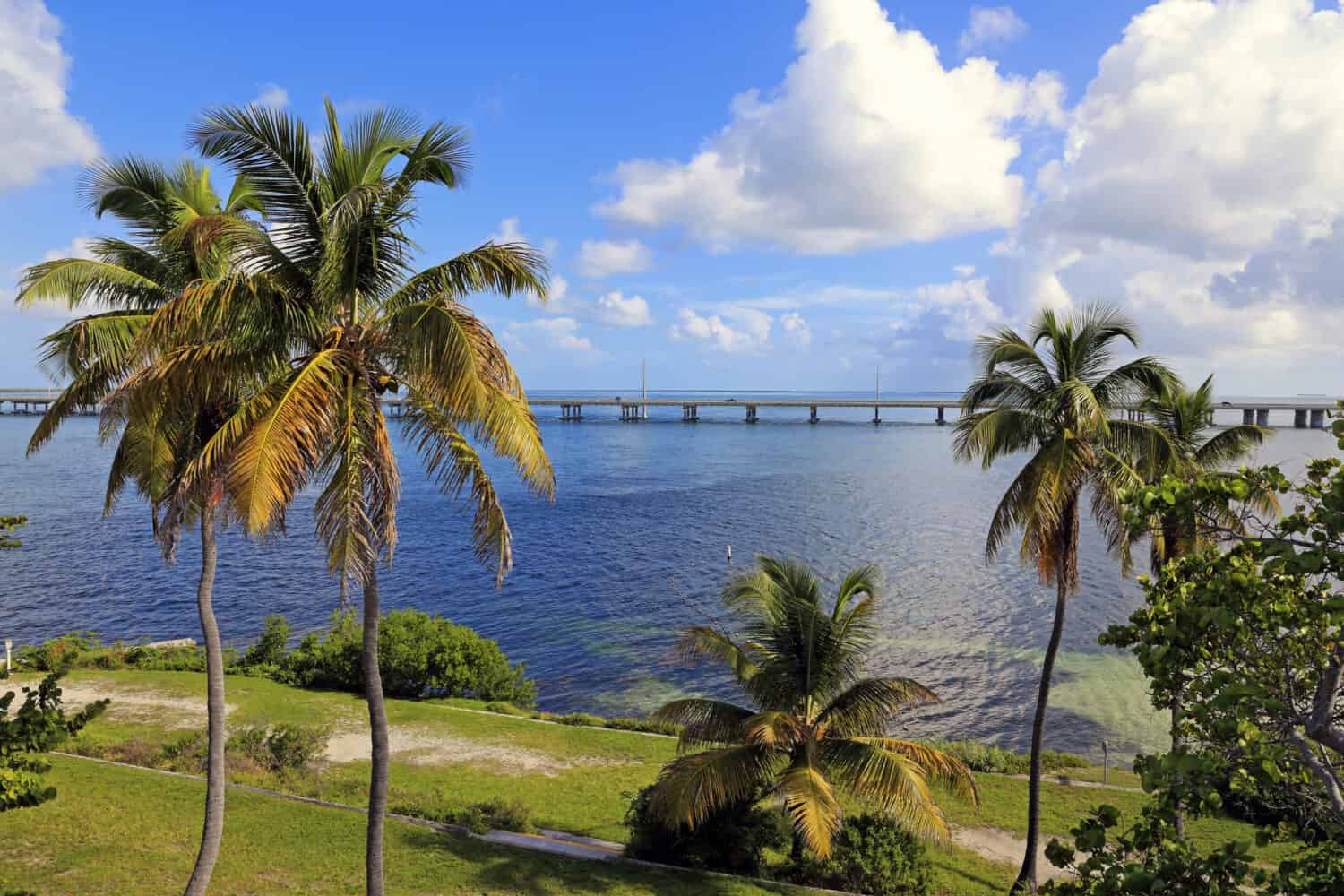 Beautiful Bahia Honda State Park in the Florida Keys features palm trees and a view of the Overseas Highway.