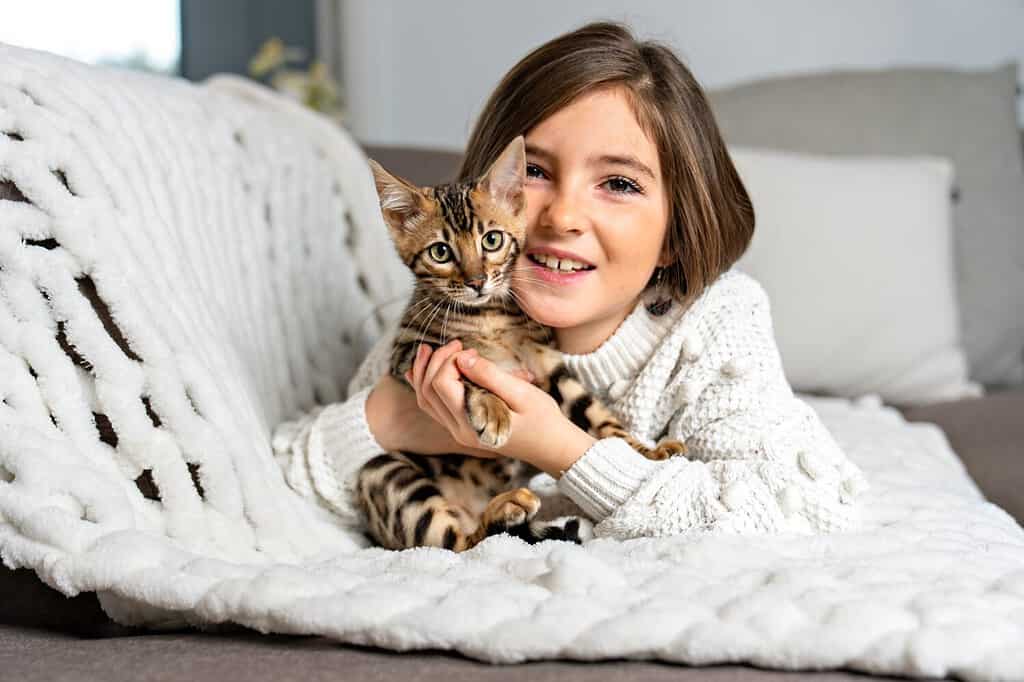 A bengal Cat in the living room on the couch with child