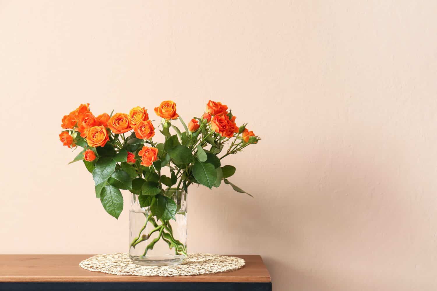 Image of Orange rose bush in a vase