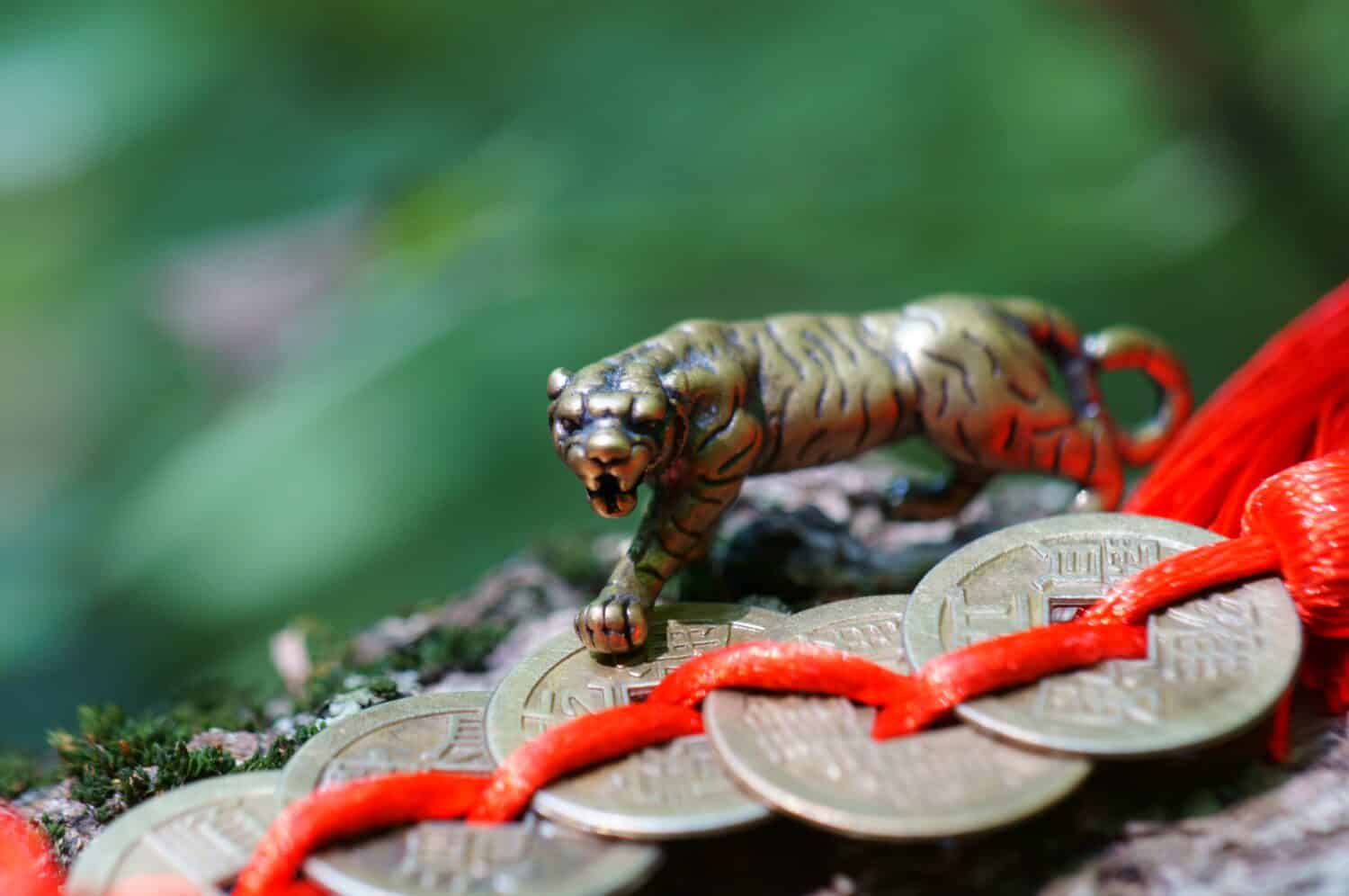 Photo of a tiger figurine with Chinese coins. The symbol of Feng Shui. A positive talisman. The inscription on the coins means the wish of wealth and good luck.