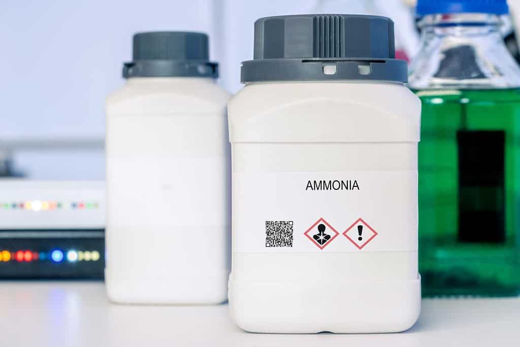 Ammonia. Ammonia hazardous chemical in laboratory packaging