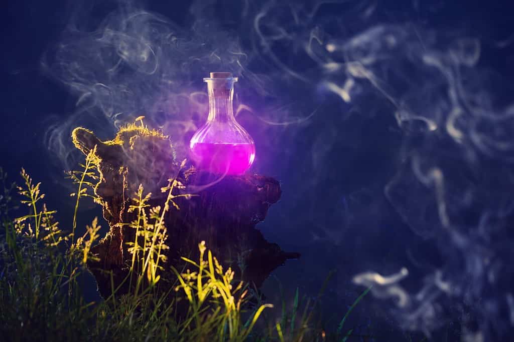 bottle of magic potions in magical forest