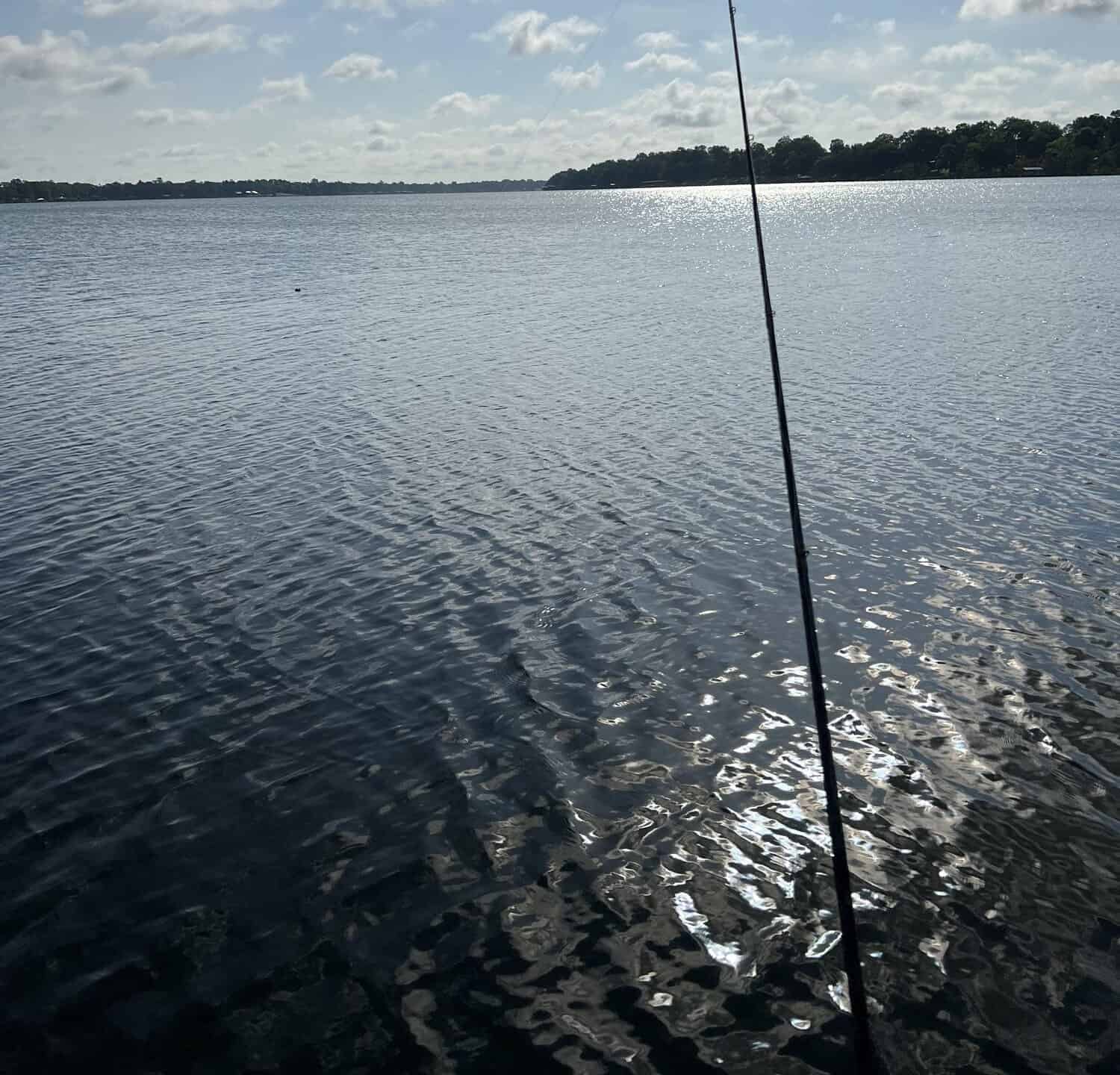 Fishing Sunshine Lake Chicot In Arkansas