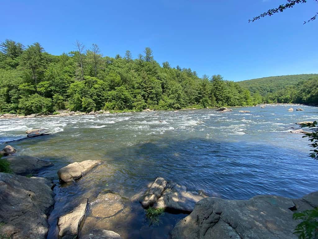 Beautiful view of the Alleghany River