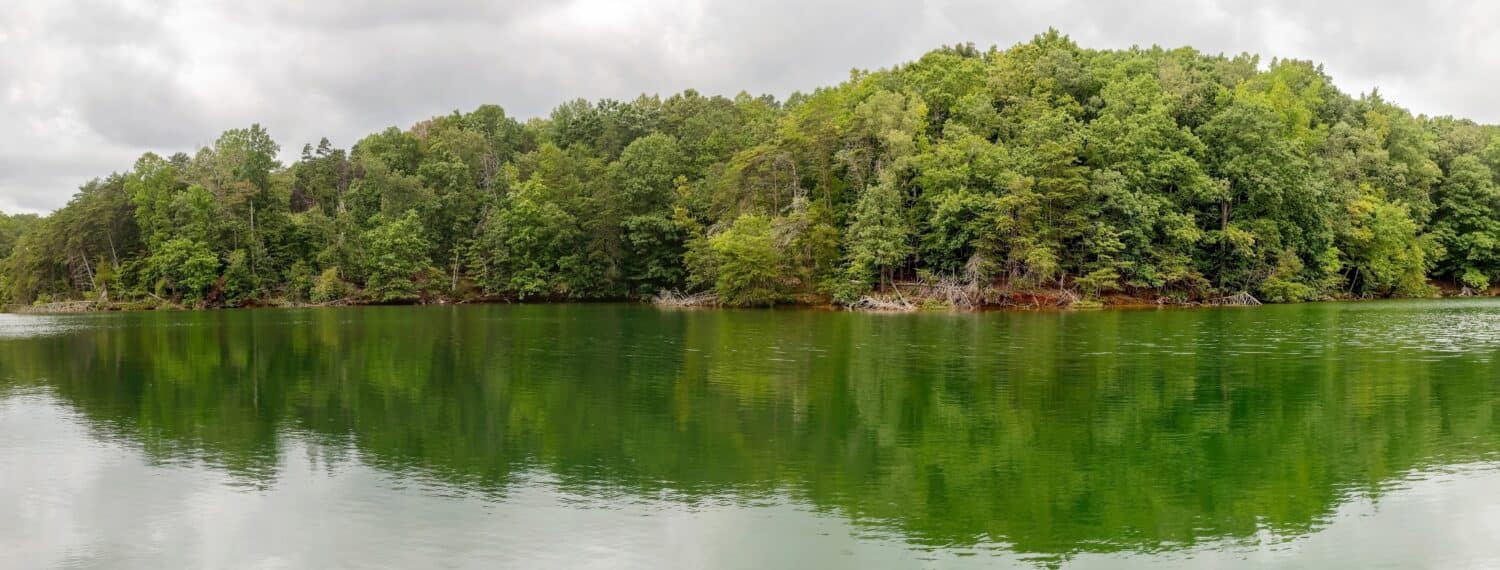 Smith Mountain Lake Virginia State Park panorama under cloudy sky with trees and lake reflection.