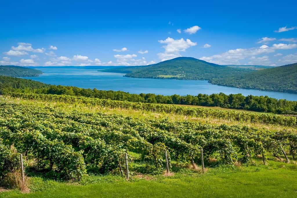 Canandaigua Lake in the Finger Lakes region of New Yrok State in the USA