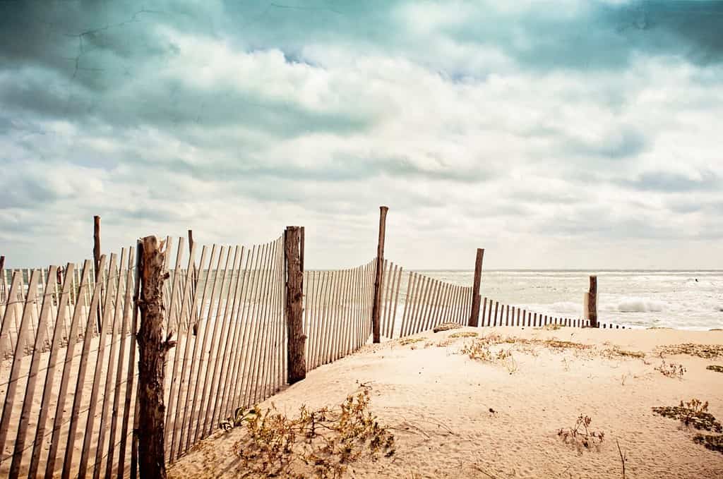 Beach scene on Long Beach Island, New Jersey. Fence, dunes and moody sky.