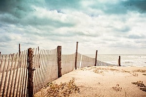 Island Beach State Park: Ideal Visiting Time, Cost, and Best Activities Picture