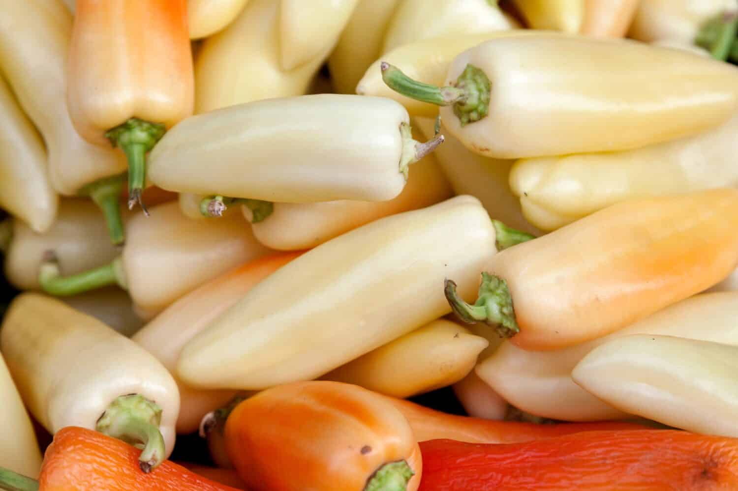 Close-up on a stack of Hungarian wax pepper for sale on a market stall.