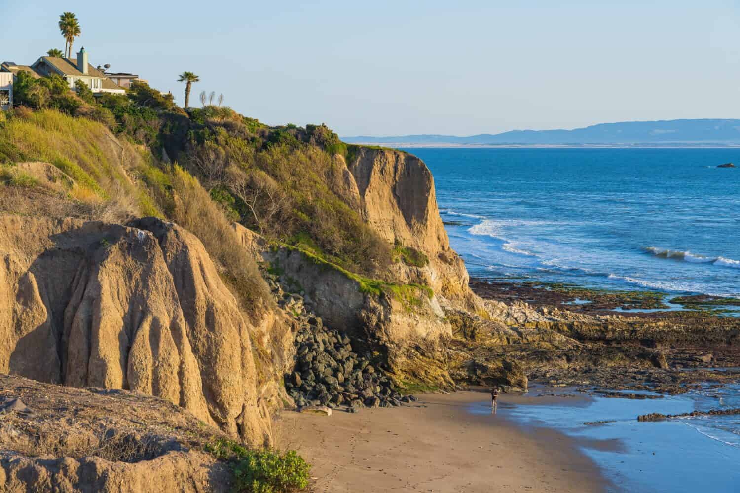 The 13 Best Beaches in California - A-Z Animals