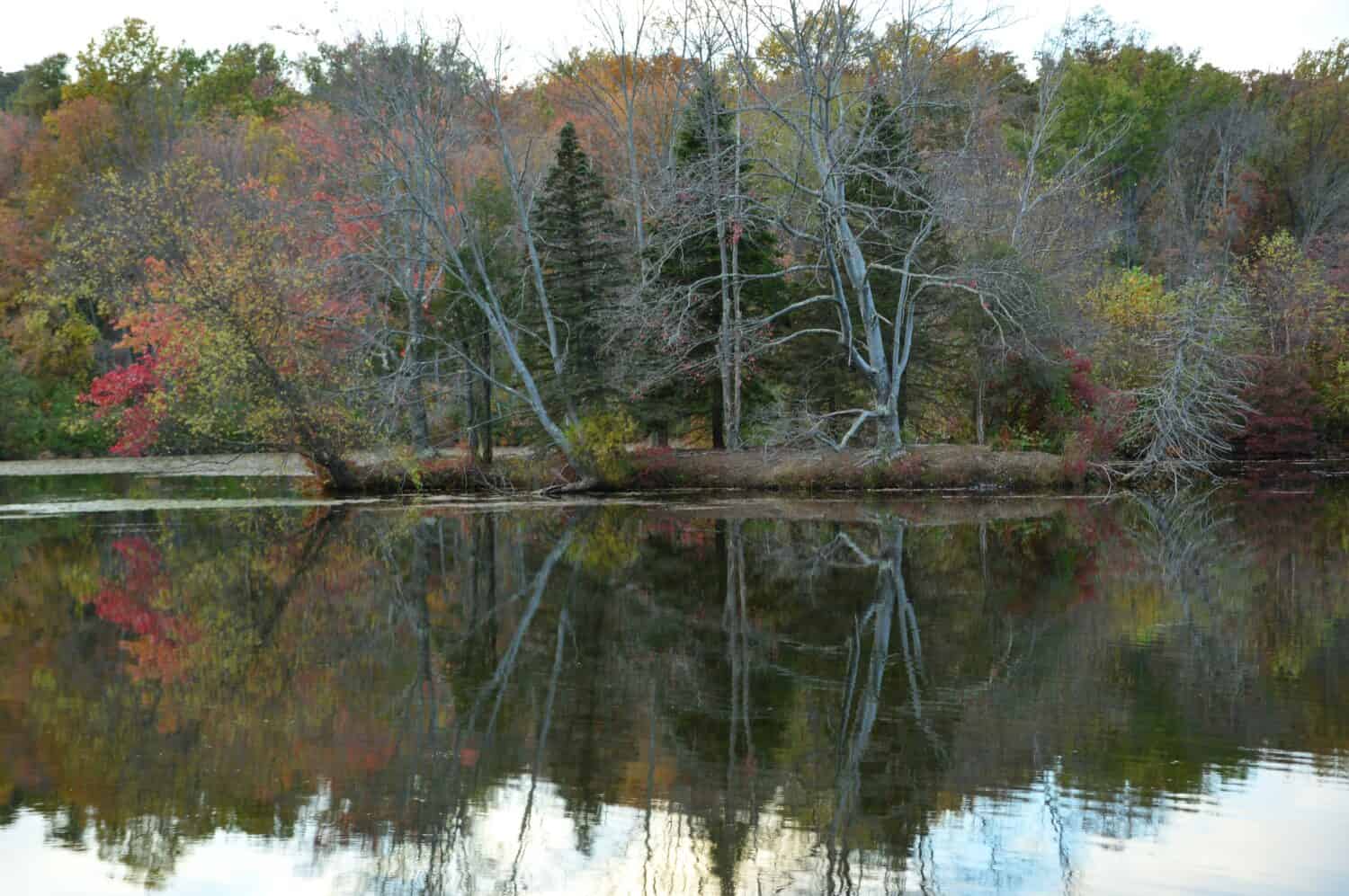 landscape reflections of late fall foliage at French Creek state Park Pennsylvania 
