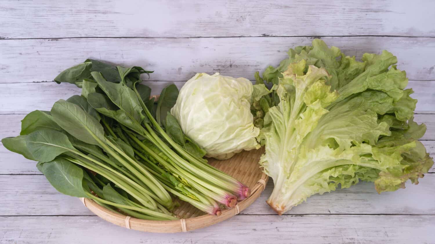 Green vegetables harvested in Japan.Cabbage, spinach, japanese mastered spinach and red leaf lettuce.