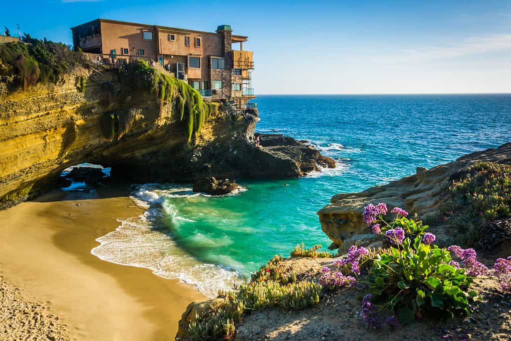 Flowers and view of a house on a cliff and a small cove at Table Rock Beach, in Laguna Beach, California.