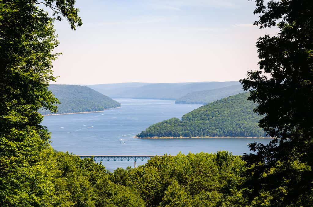 River with Bridge at Allegheny