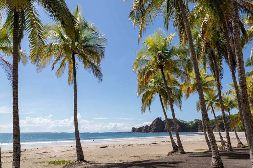 Beautiful blue sky day with a blue sea and empty sand. Playa Samara, Costa Rica, Central America.