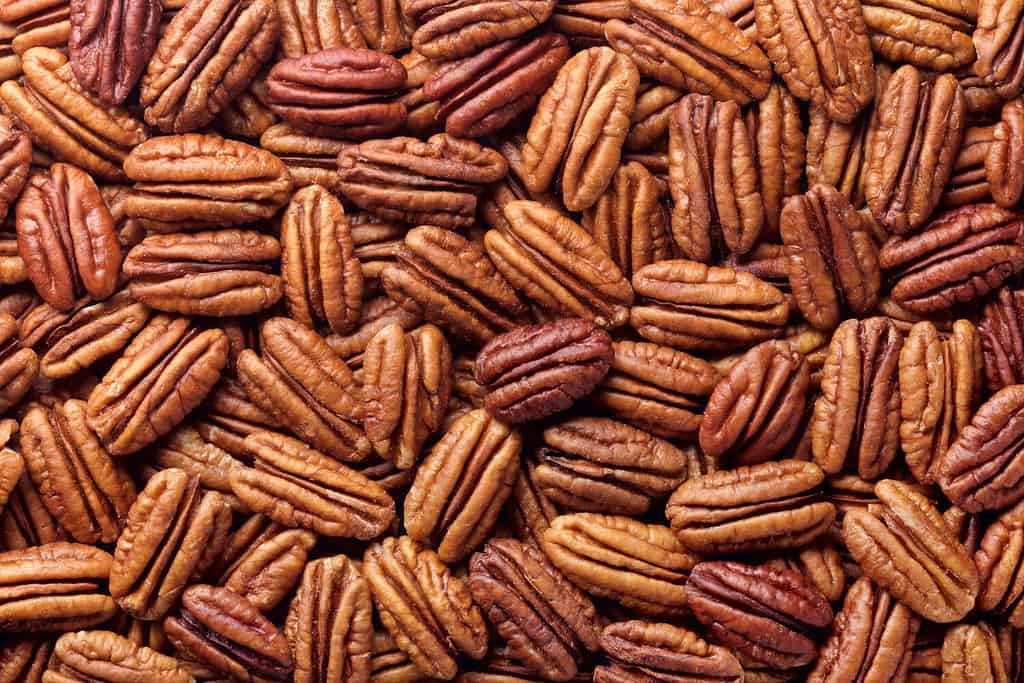 The United States produces the most pecans globally with Georgia usually producing the most by state.