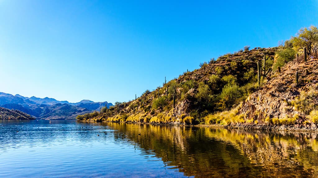 Saguaro Lake and the surrounding mountains with its cacti under clear blues skies in the Arizona Desert, United States of America