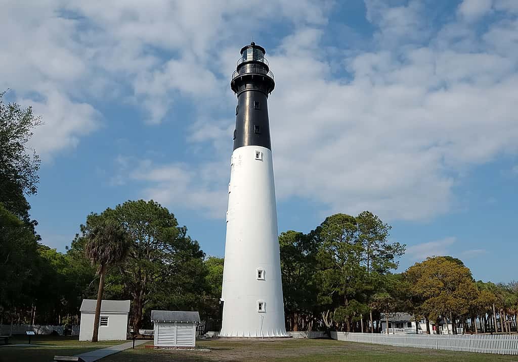 The 5 Most Beautiful South Carolina Lighthouses - A-Z Animals