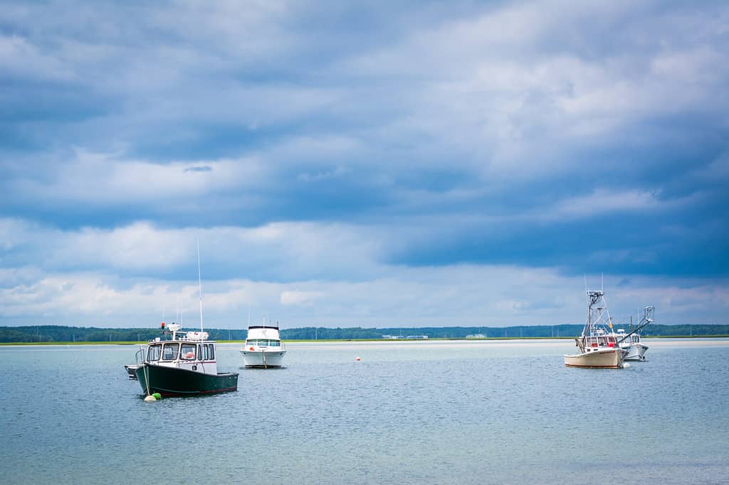 Boats in Hampton Harbor, in Hampton Beach, New Hampshire.
