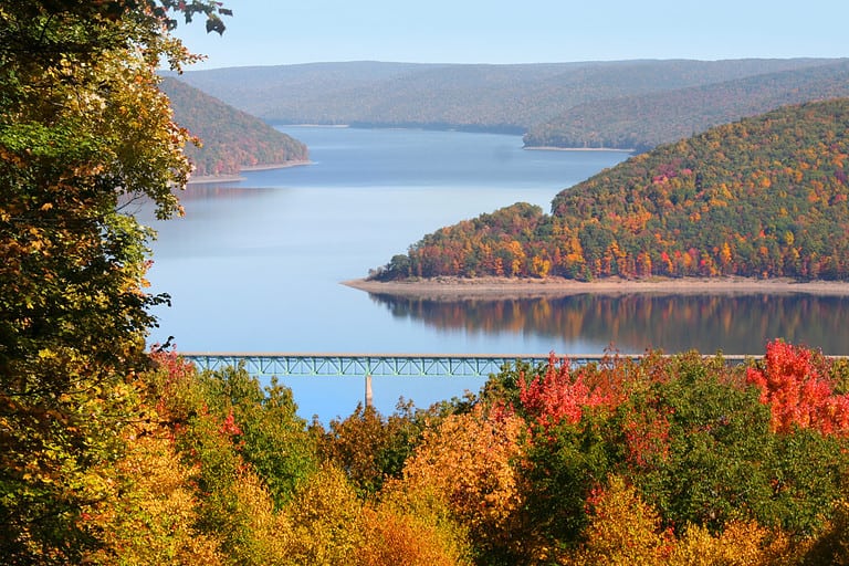 Fall foliage in Allegheny national forest Pennsylvania