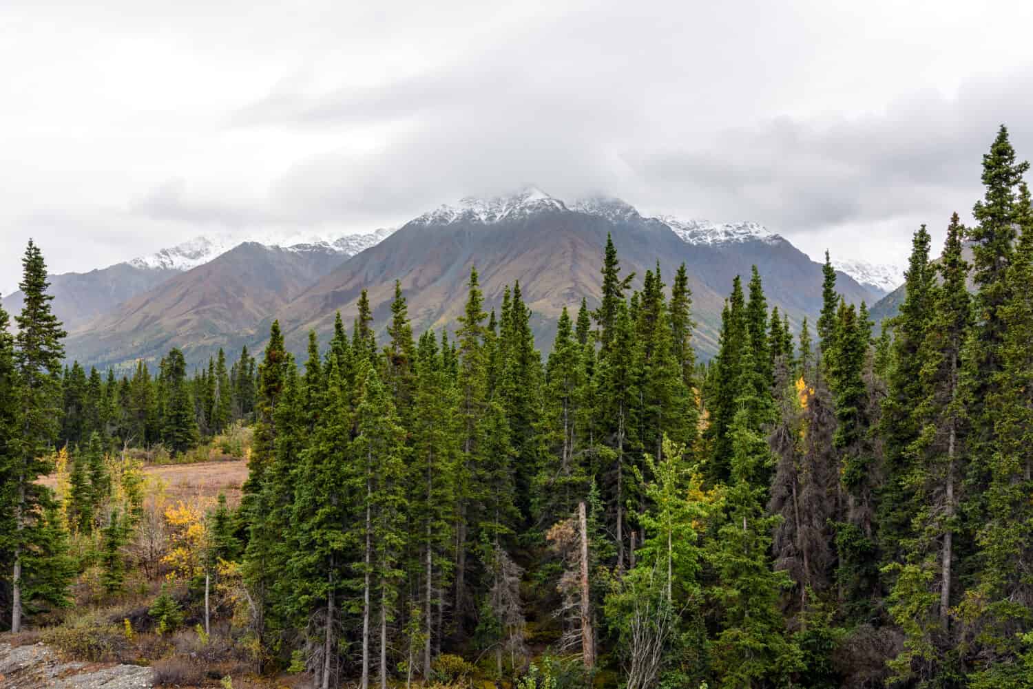 Amazing fall colors in Kluane National Park and Reserve in Yukon Territory