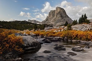 Discover the Largest Forest in Wyoming (And What Lives Within It) photo