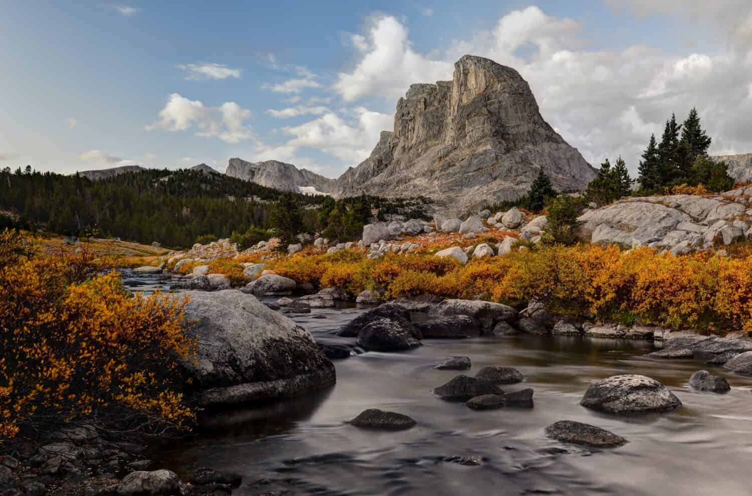 Little Wind River and Buffalo Head Peak." Bridger-Teton National Forest, Wyoming.