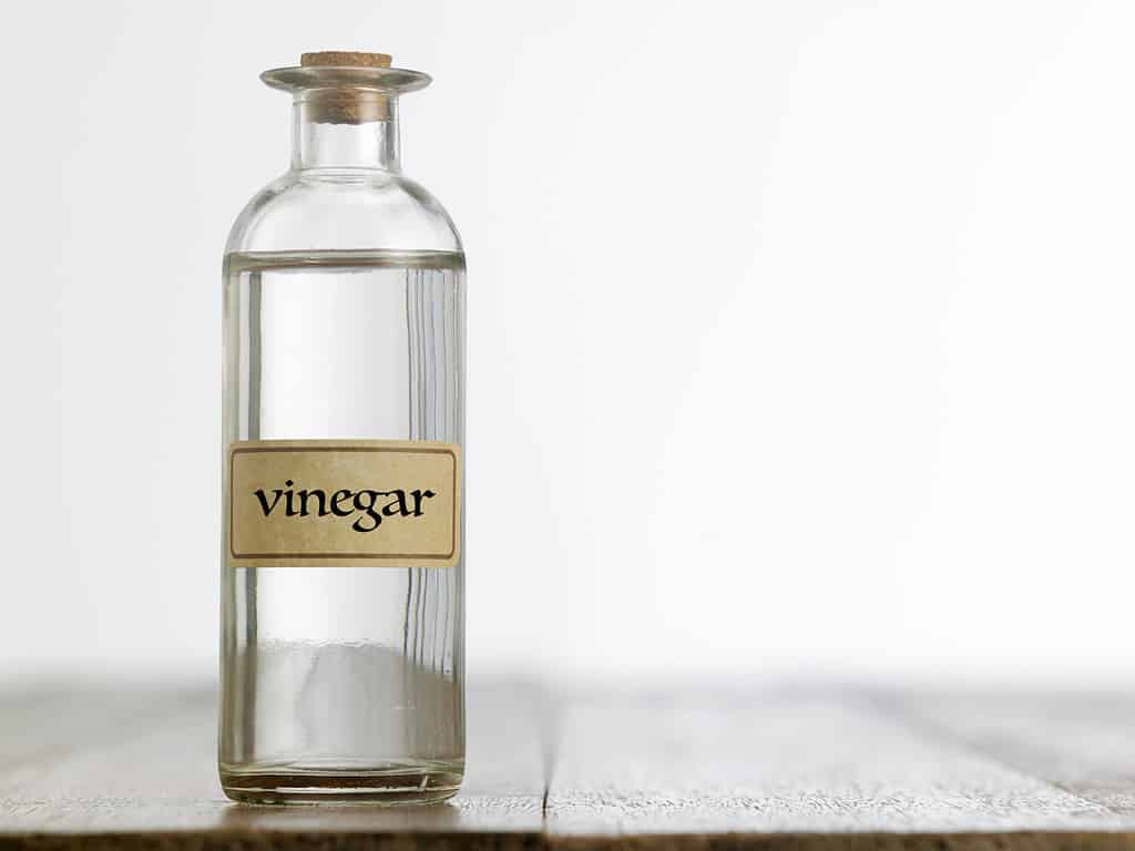 white vinegar on the wooden table top