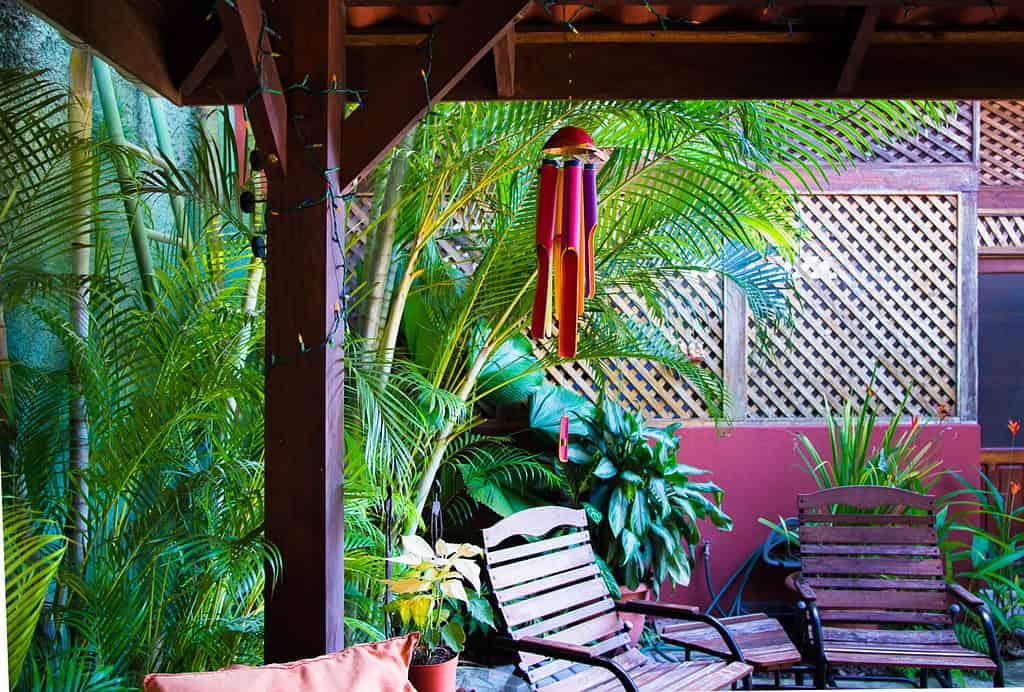 Backyard, tropical pergola. Full color bamboo wind chime.