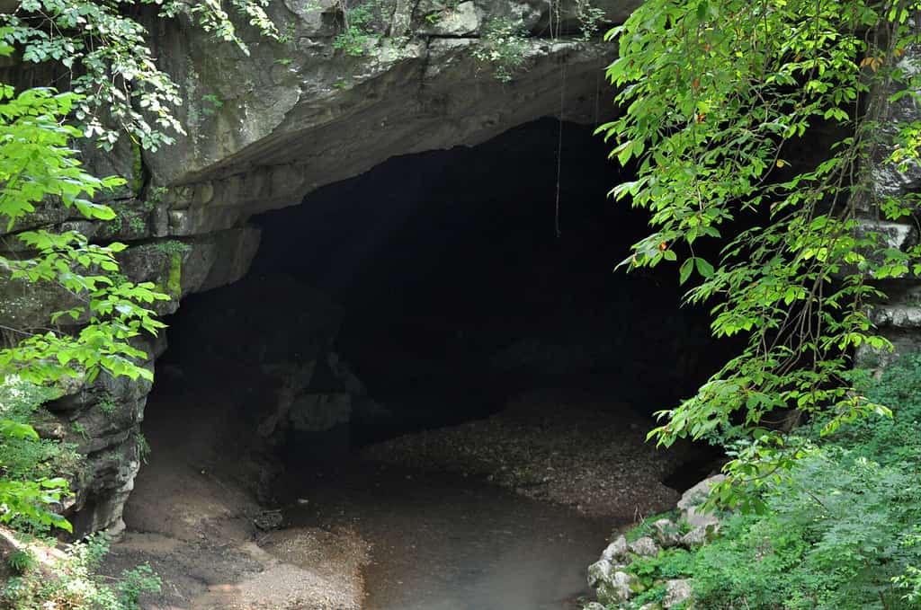 Russel Cave National Monument Bridgeport, Alabama