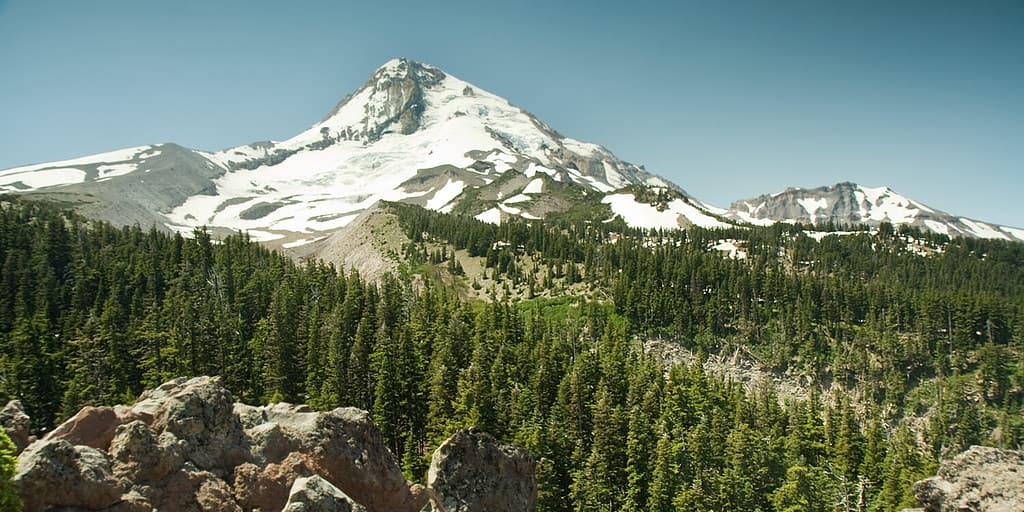 View at Mt. Hood summit with trees and rocks in foreground from the Cooper Spur trail
