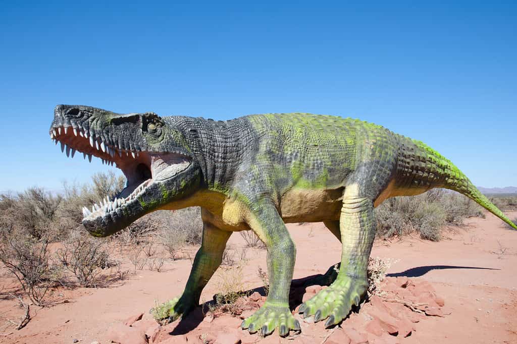 Triassic Fasolasuchus Dinosaur Replica - Argentina