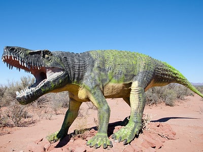 A What’s the Largest Non-Dinosaur Land Animal to Ever Live? (It Will Surprise You!)