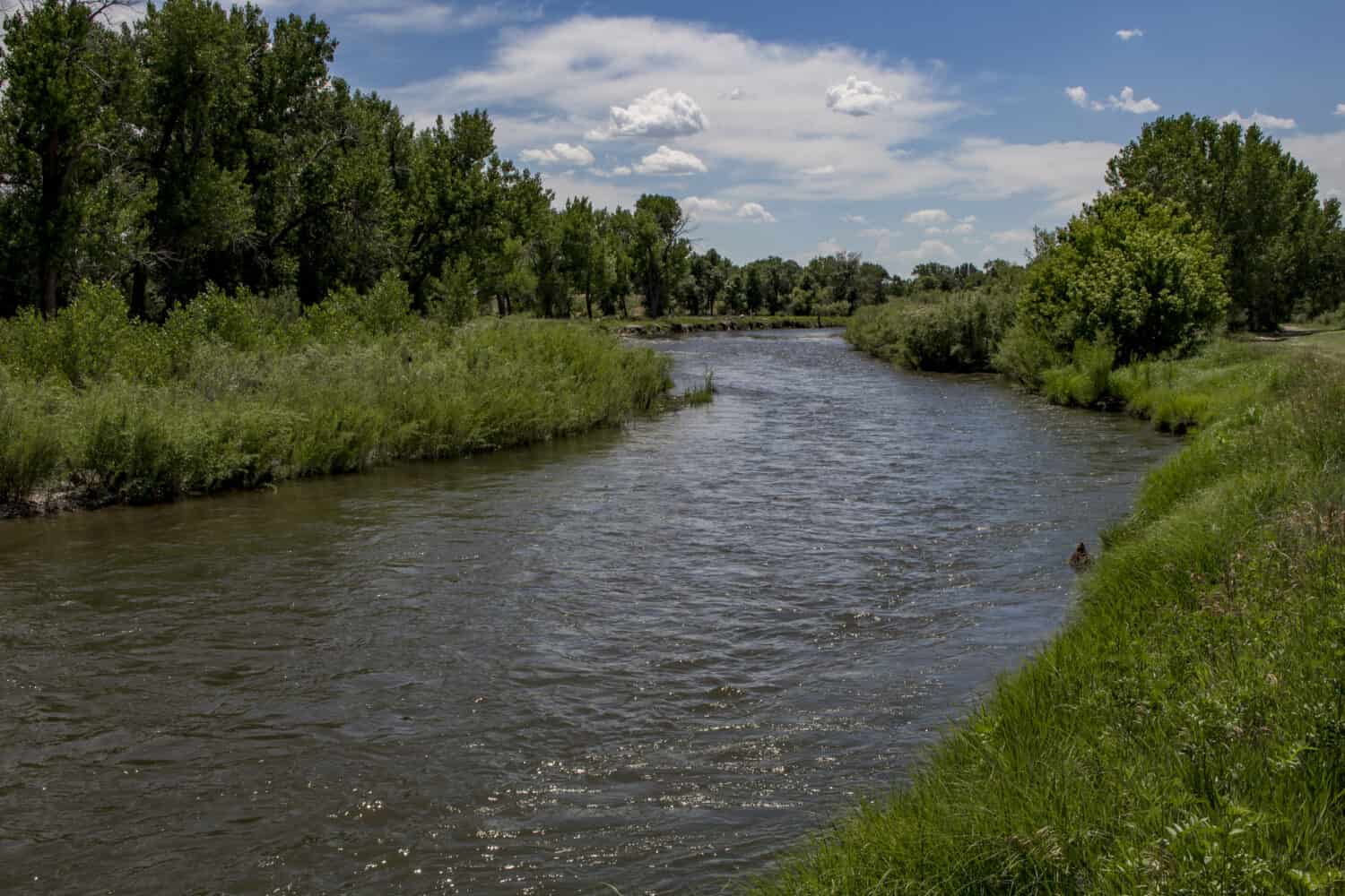 The Laramie River