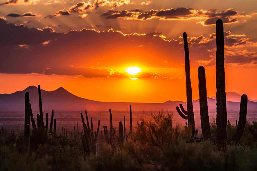 Tucson, Arizona