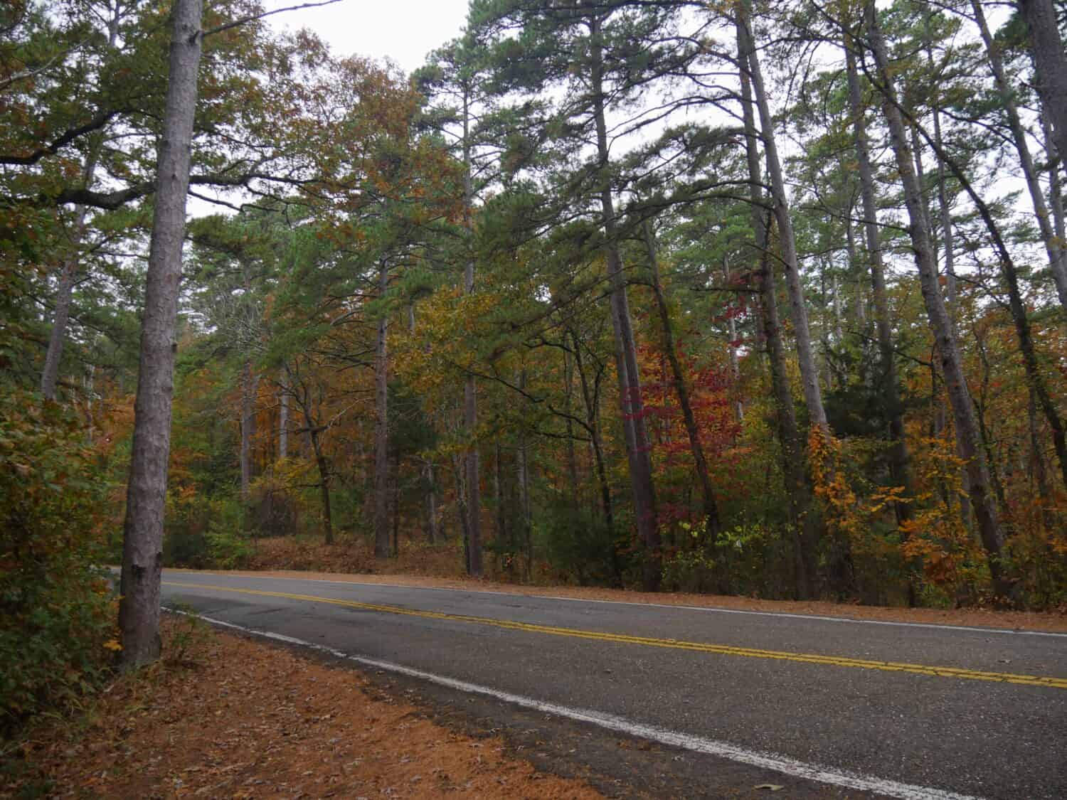 Colorful scenery at the Talimena scenic drive, one of the most popular attractions in Oklahoma at the LeFlore County during autumn season.