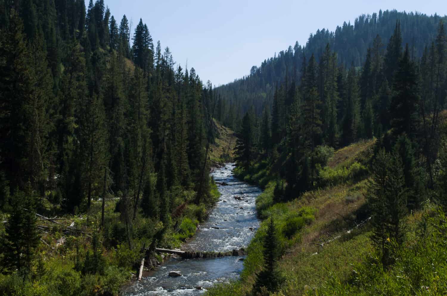 Mountain stream in the Bridger-Teton National Forest, Wyoming USA