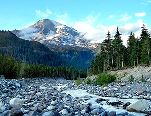 Discover 11 Animals That Roam Atop Washington State’s Tallest Mountain photo
