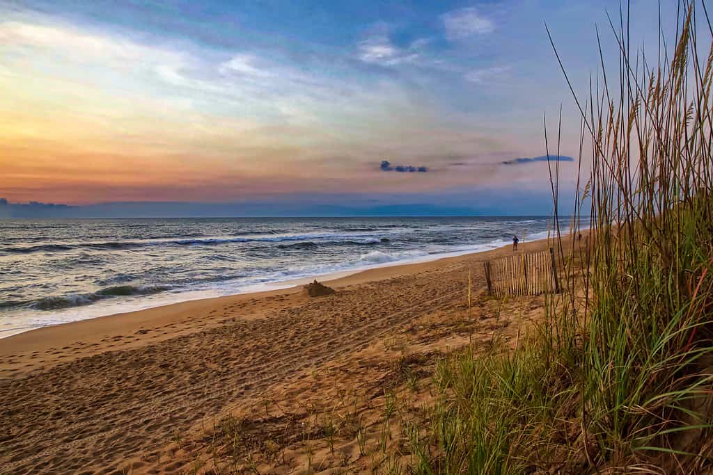 Colorful sunrise on a North Carolina beach, waves breaking on a sandy shore framed by dune grass. Duck, NC