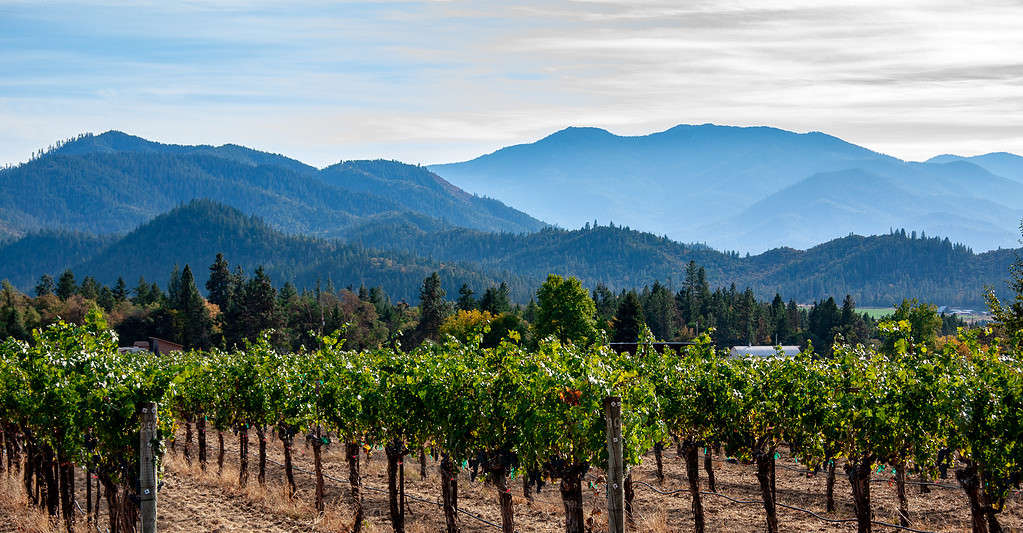 Applegate Valley winery near Ashland, Oregon