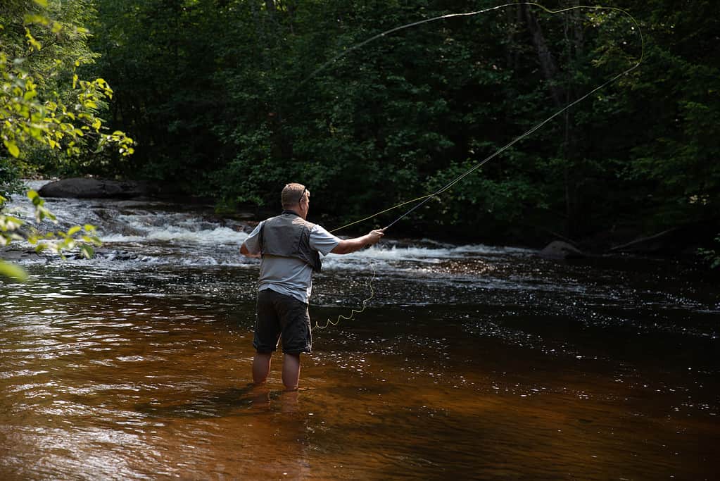 Fly Fishing on a Michigan River
