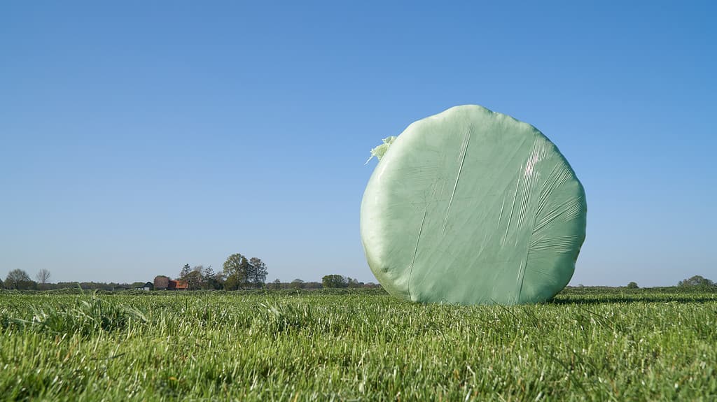 A round wrapped silage bale on the field. The first cut of grass was mowed 2 days earlier, left to dry and then made into bales and wrapped in plastic foil to preserve quality of the forage crop