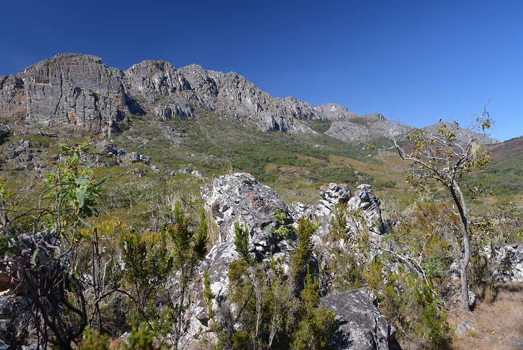 The Chimanimani mountains are on the border between Zimbabwe and Mozambique.